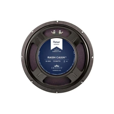 Maxpower 10 in. 16 Ohm 75W Replacement Guitar Speaker MA3838039